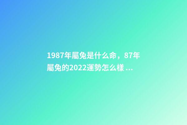 1987年屬兔是什么命，87年屬兔的2022運勢怎么樣 1987年屬兔人2022年運勢運程 1987年屬兔人2022年運勢好不好-第1張-觀點-玄機派